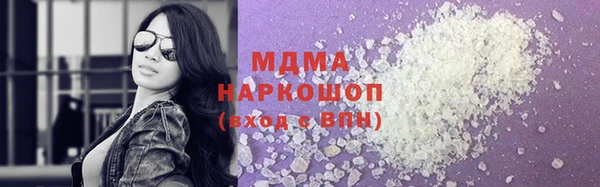 шишки Няндома