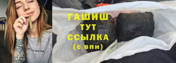 шишки Няндома