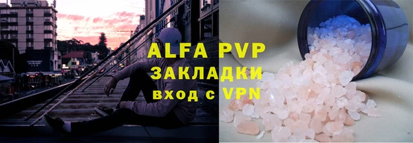 шишки Няндома