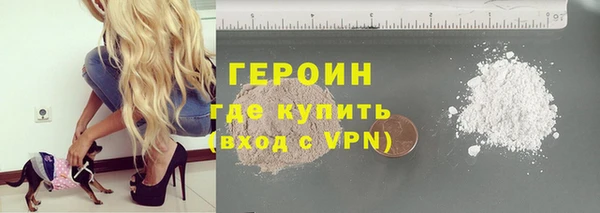 шишки Няндома