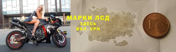 шишки Няндома