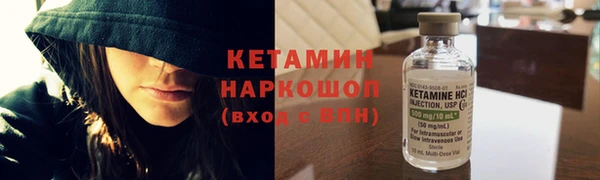 шишки Няндома