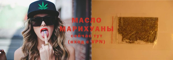 шишки Няндома