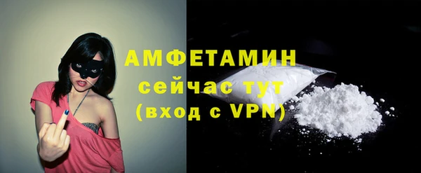 шишки Няндома