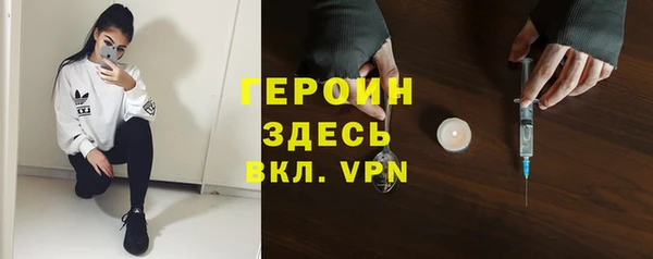 шишки Няндома