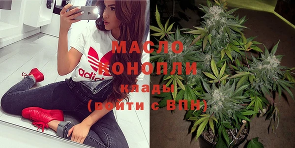 шишки Няндома