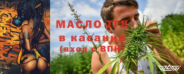 шишки Няндома