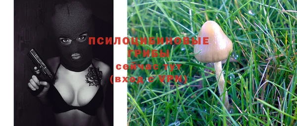 круглые Нягань