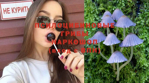 шишки Няндома