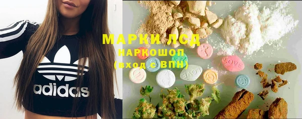 шишки Няндома