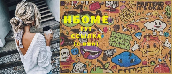 шишки Няндома