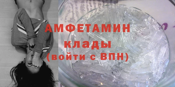 шишки Няндома