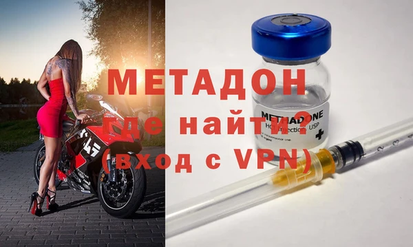 шишки Няндома