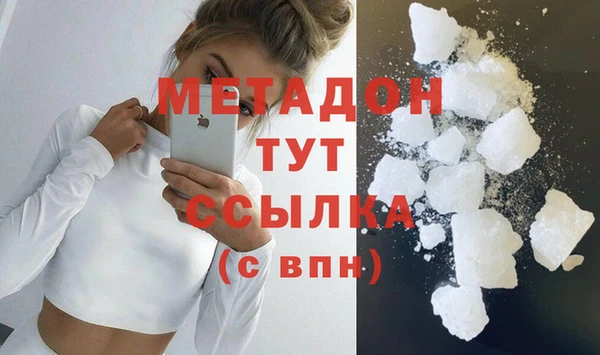 шишки Няндома