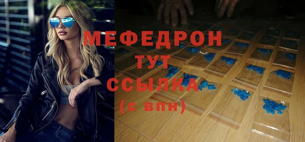 шишки Няндома