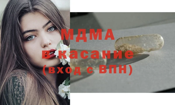 шишки Няндома