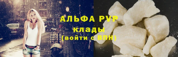 шишки Няндома