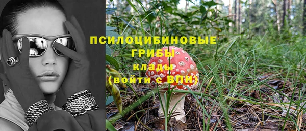 круглые Нягань
