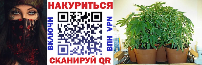 Шишки марихуана марихуана  Ардатов 